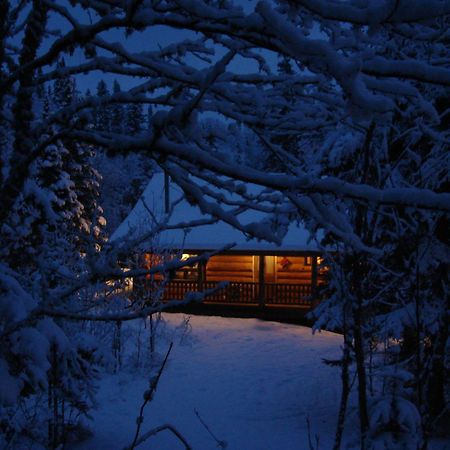 Cascade Lodge Lutsen Ngoại thất bức ảnh